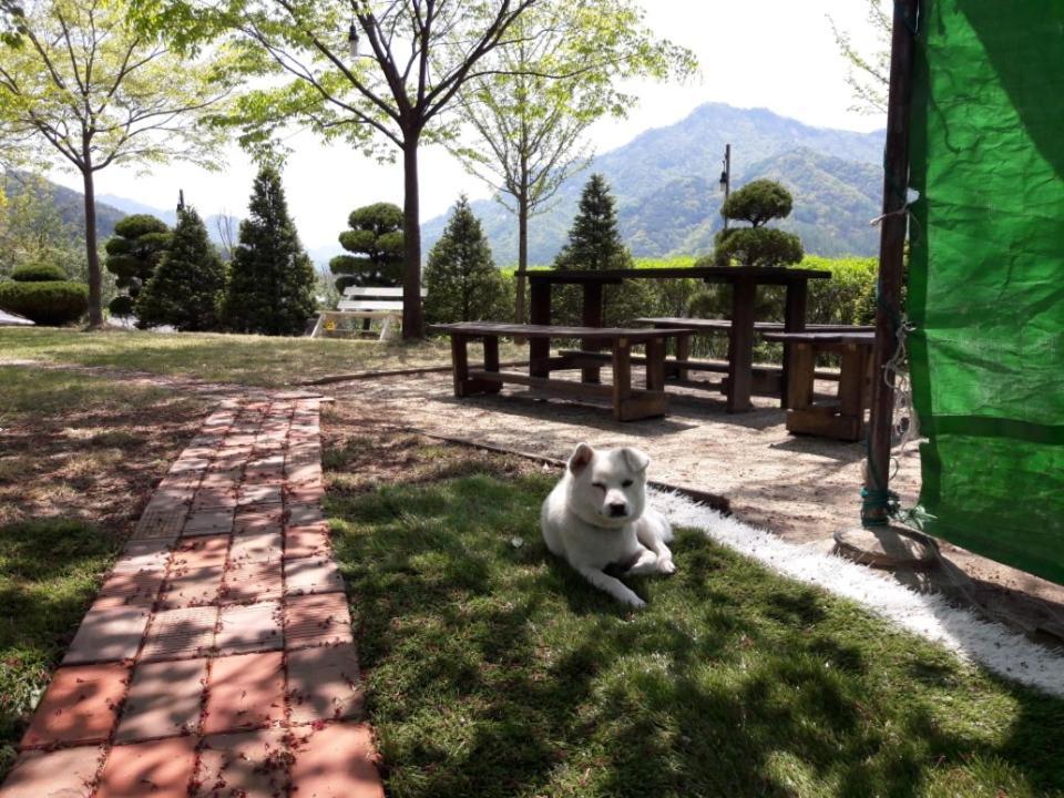 Chamjoeun Pension Chech'ŏn Extérieur photo